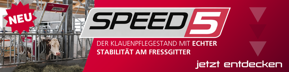 Verlinkung zu Speed 5