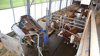 20% Förderung auf Klauenpflegestände! Image-8840