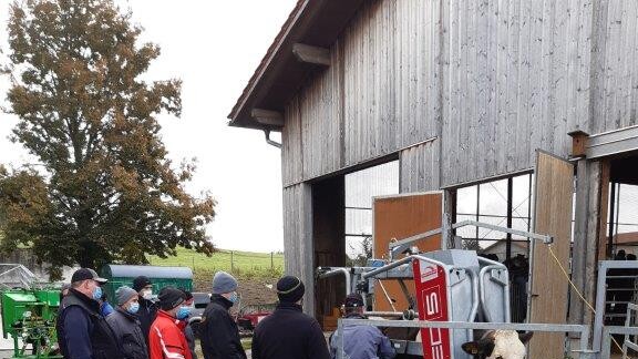 RED 5 - Rosensteiner Durchtreibestand image-2300